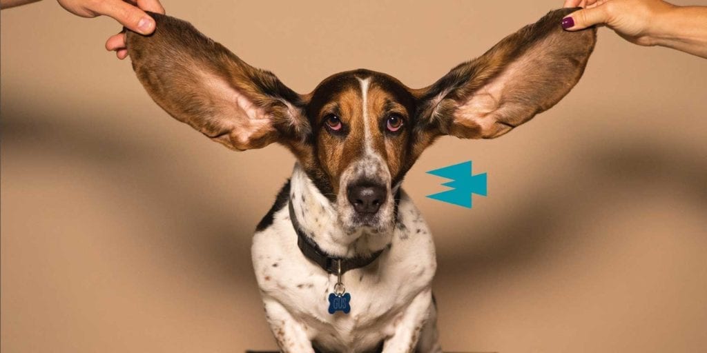 icomm-halcyon-better-listener icomm-halcyon-better-listener