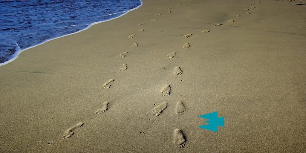icomm-halcyon-blog-every-step icomm-halcyon-blog-every-step