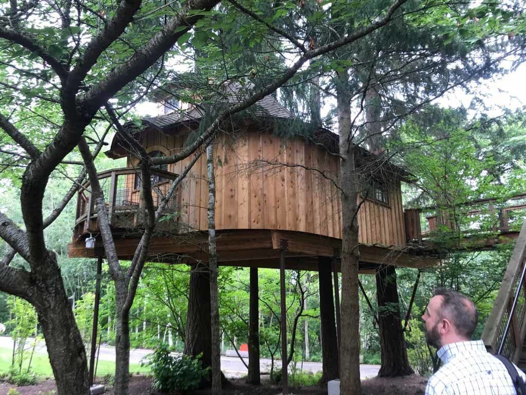 treehouse 06