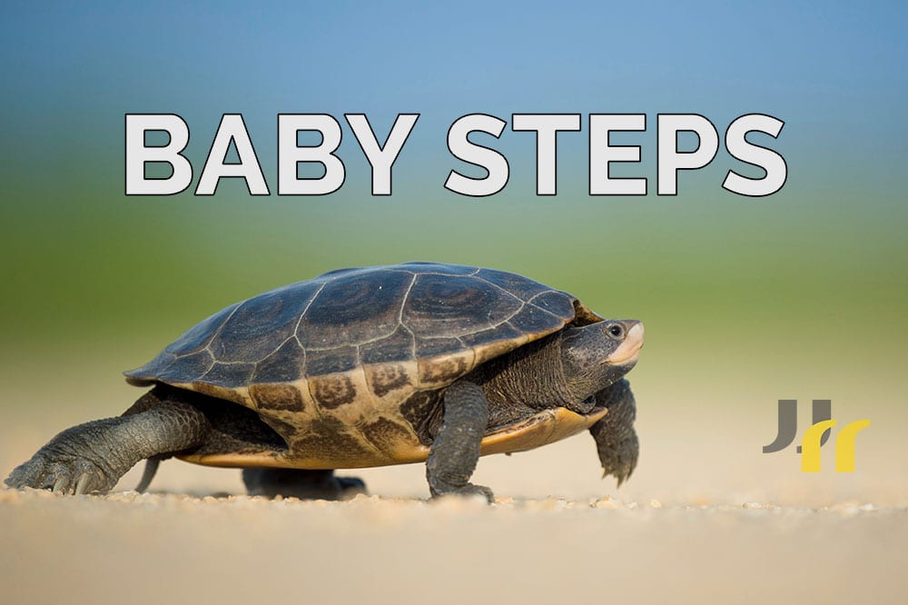 Photo of turtle walking on sand with caption "BABY STEPS"