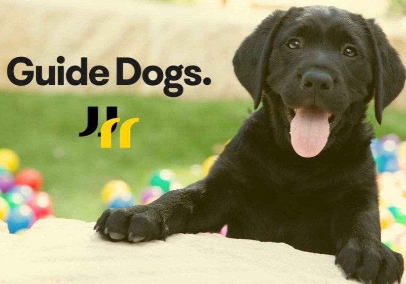 Image is of a black Labrador puppy with a happy look on its face, colourful toys in the background, with the Guide Dogs logo and IComm brand marks.